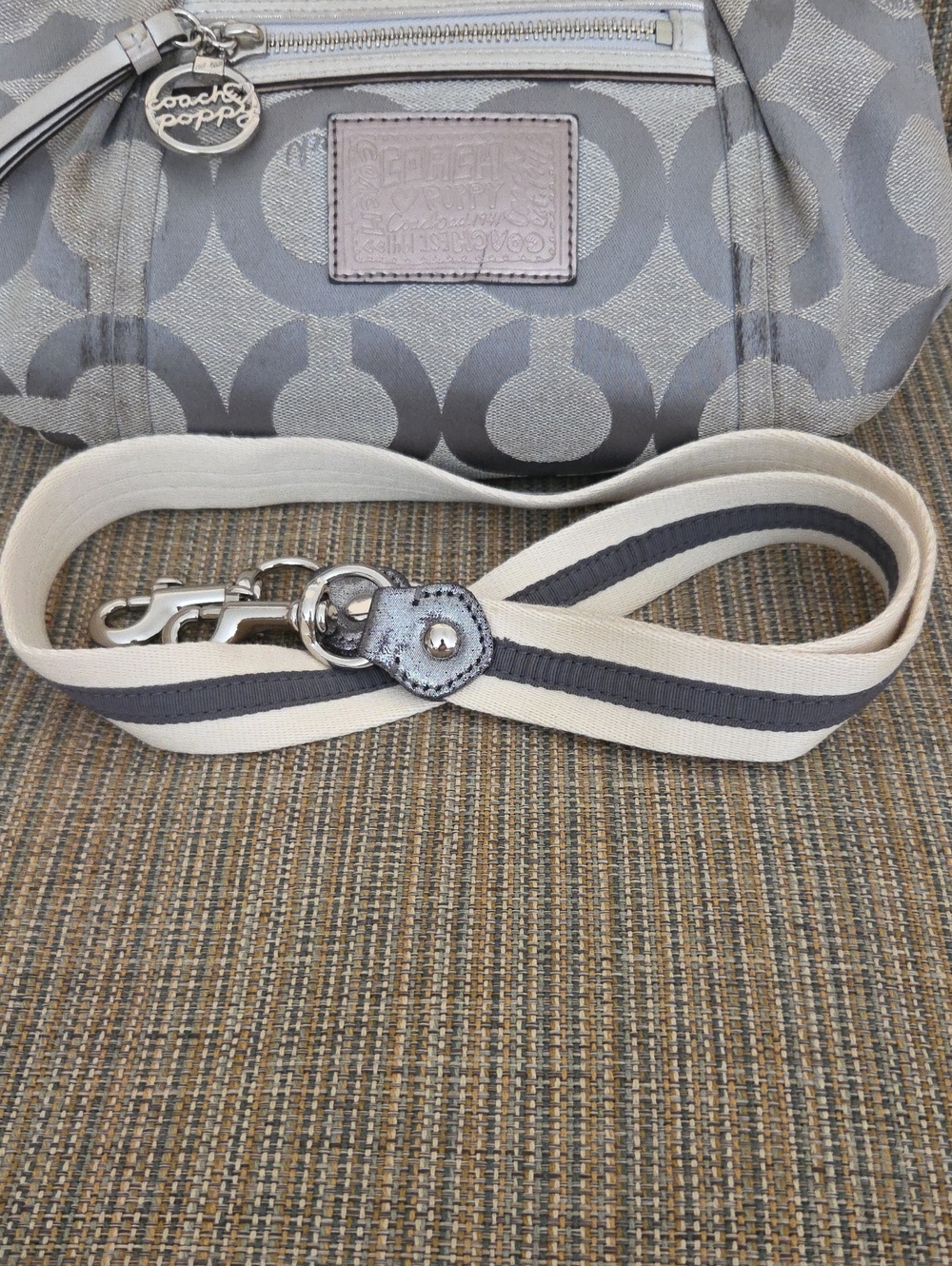 Coach Poppy Gray Signature Canvas Shoulder Bag with Removable StrapCoavh - Picture 3 of 11